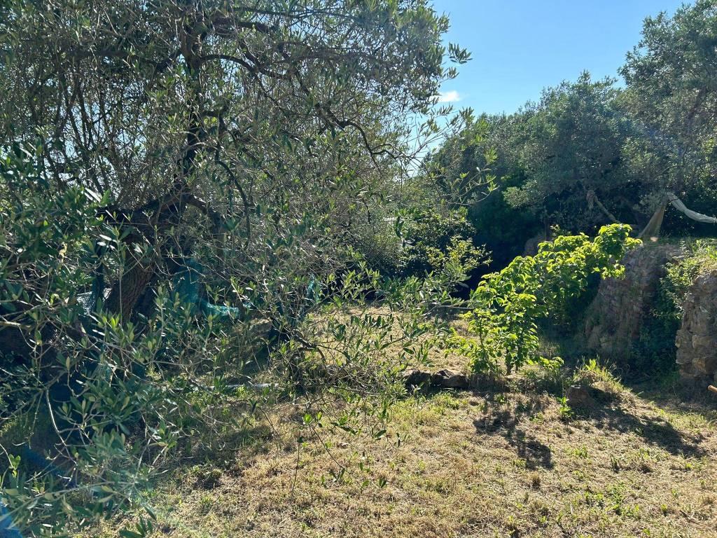 Terreno agricolo via guadalajara, la leccia, livorno