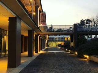 Vista