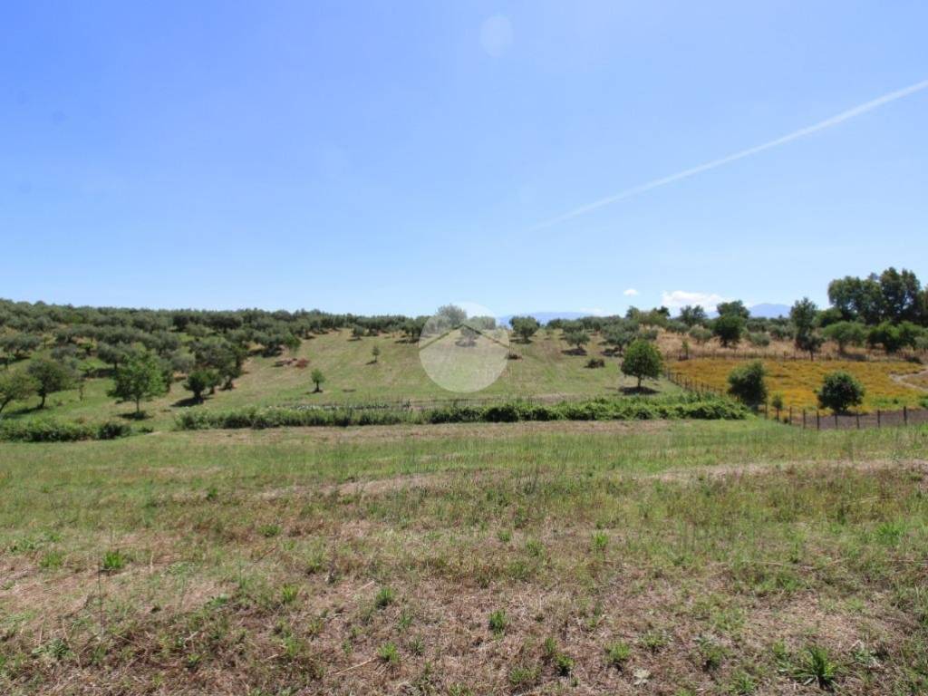 Terreno agricolo via rimanne 2, montelibretti