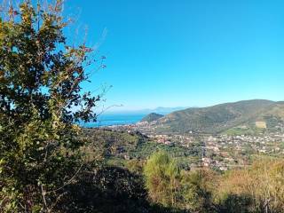 Vista