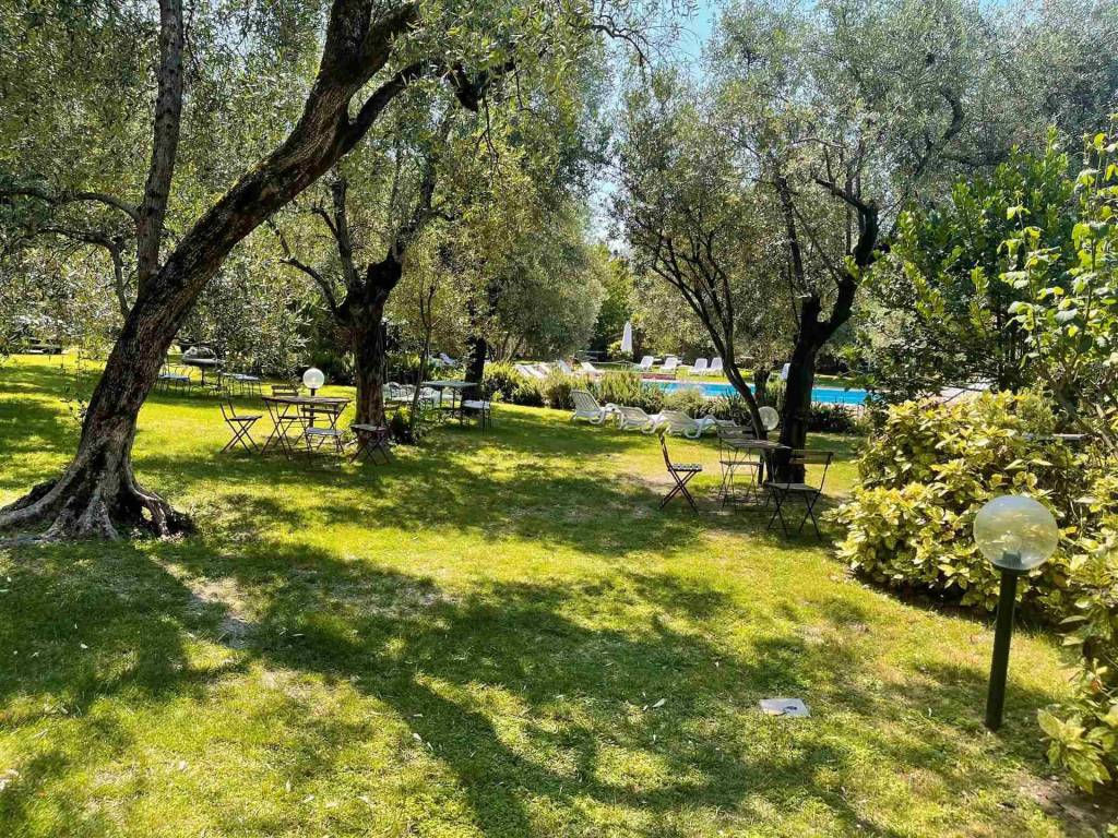 Giardino