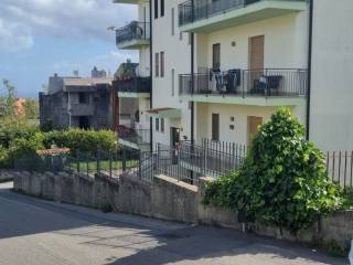 Zona