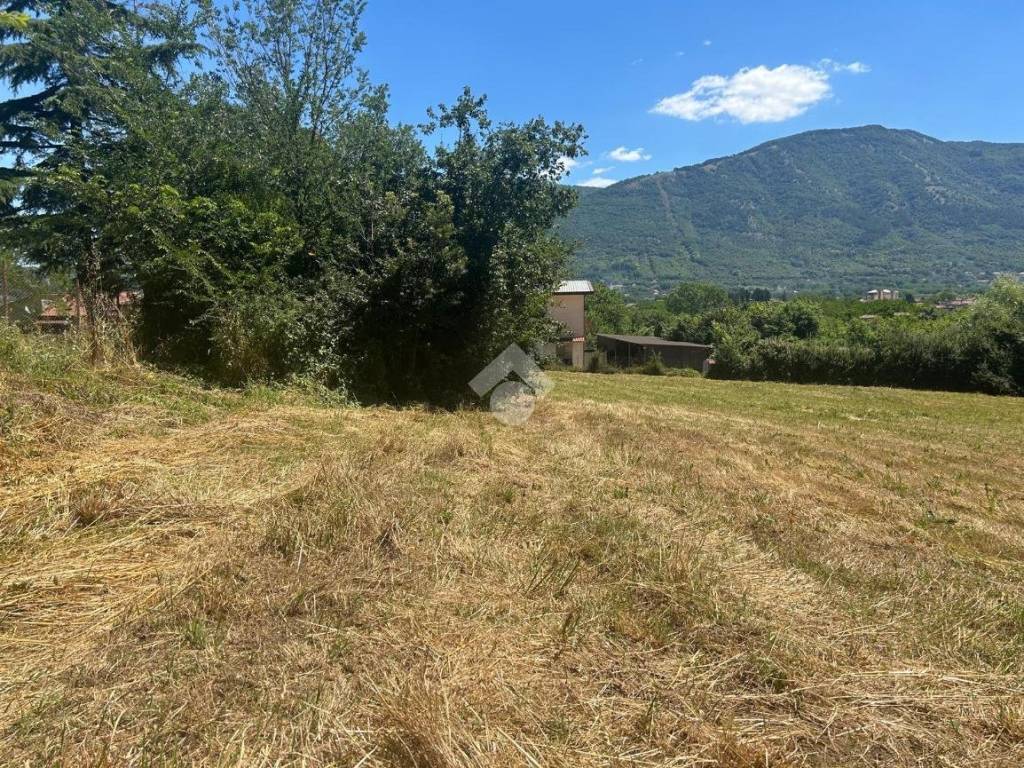 Terreno