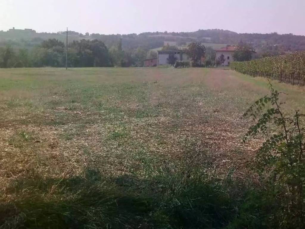 Terreno agricolo, albinea