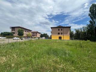 image00014.jpeg