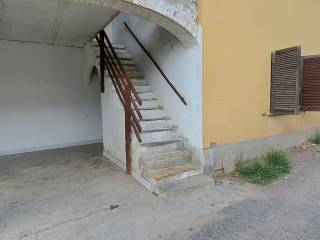 Zona