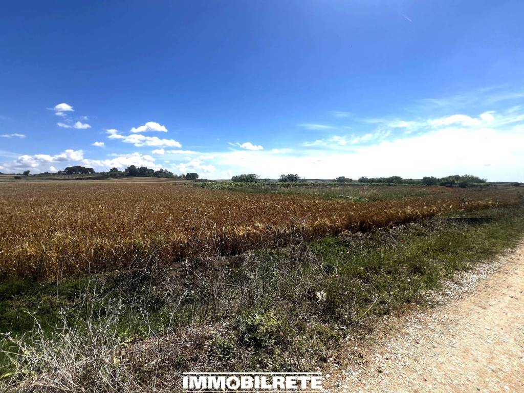 Terreno agricolo contrada corrente, altamura