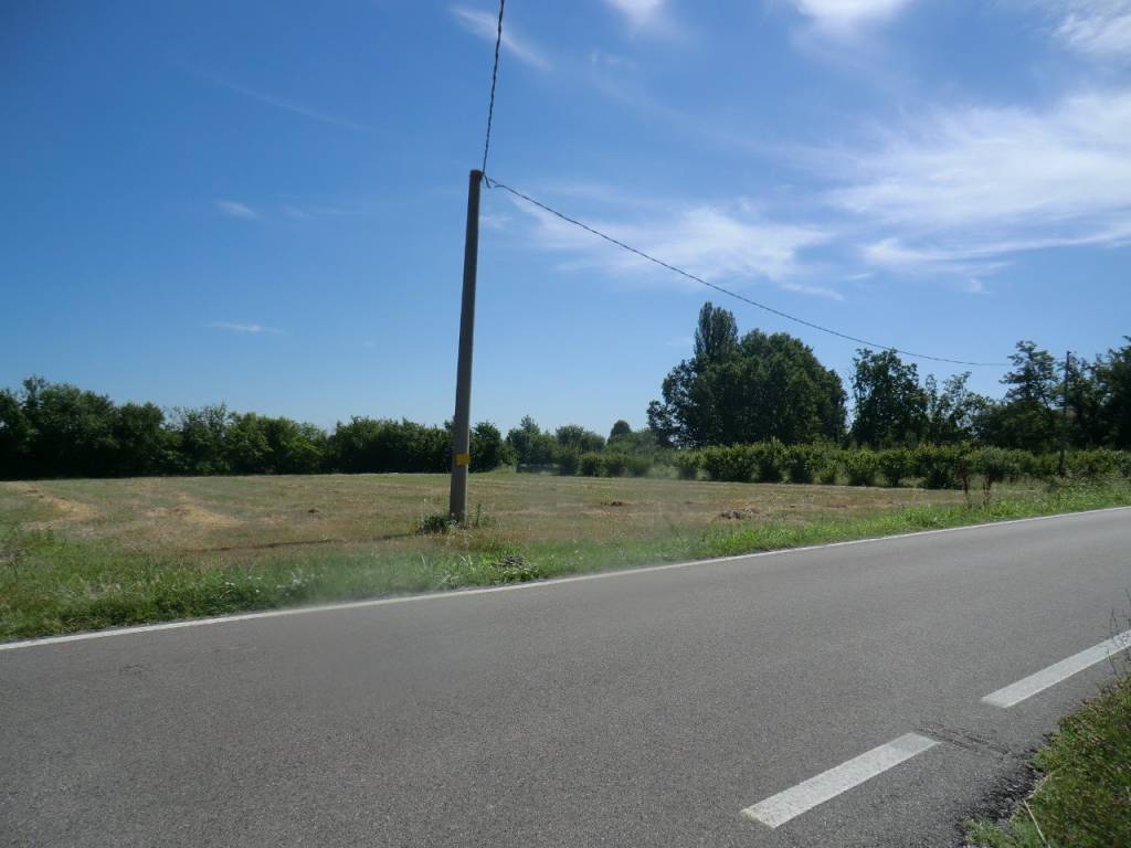 Attività commerciale, san bartolomeo, ferrara