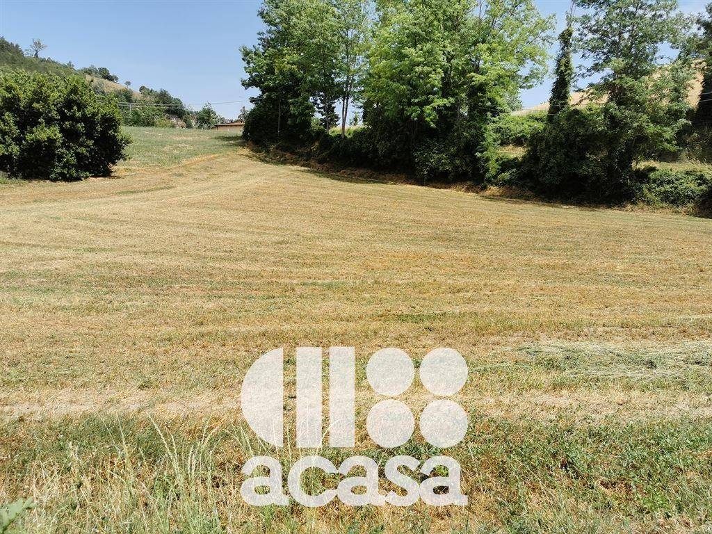 Terreno agricolo, centro, mercato saraceno