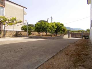 Zona