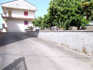Zona