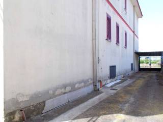 Zona