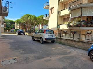 Zona
