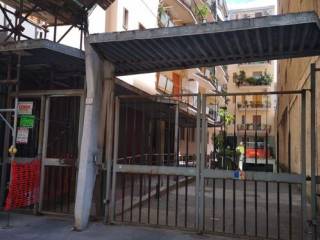 Zona