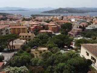 Vista