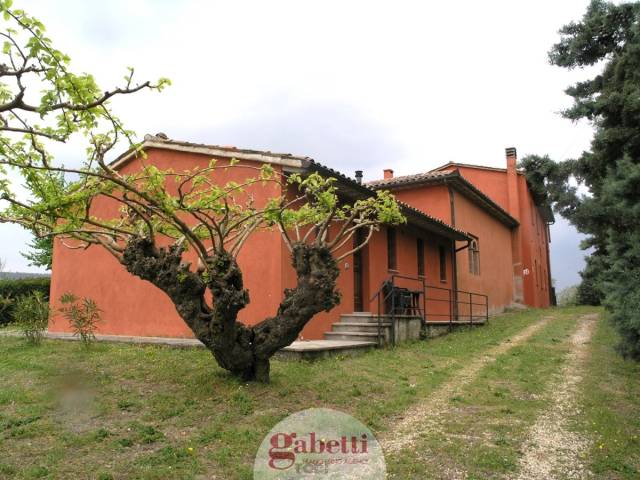 FC115 Villa vendita podere terreno agricolo_21.jpg