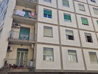 WhatsApp Image 2024-06-06 at 16.07.50.jpeg