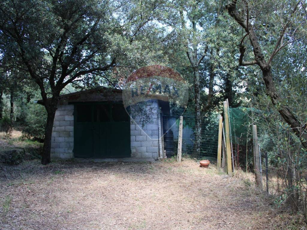 Terreno agricolo strada provinciale 43, capraia e limite