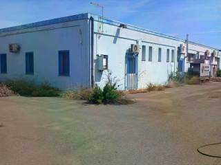 Zona