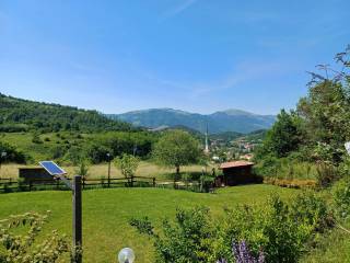 Vista