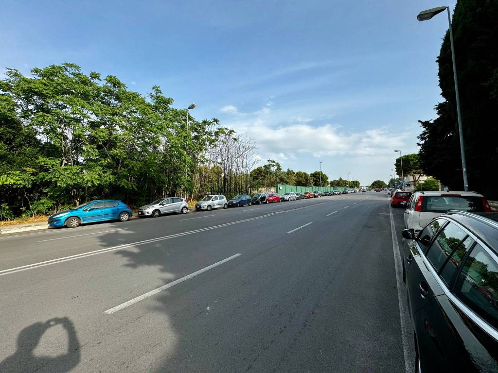 Terreno agricolo viale paolo borsellino e giovanni falcone, san pasquale, bari