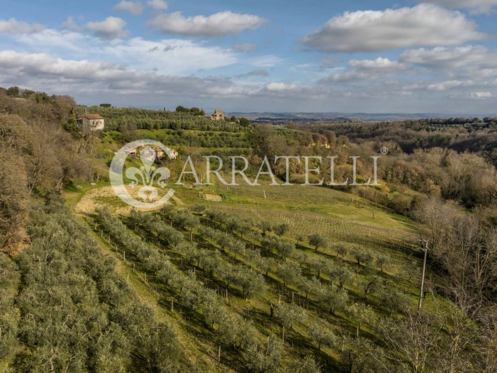 Proprietà a Montepulciano con vigneto a Nobile