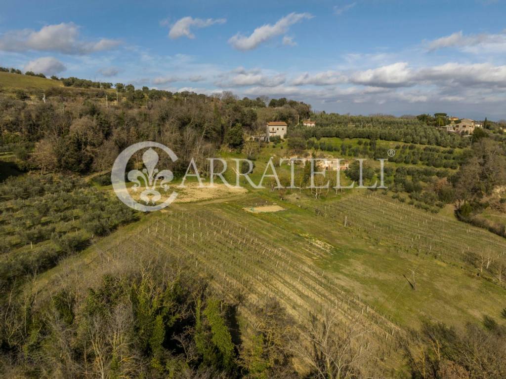 Proprietà a Montepulciano con vigneto a Nobile