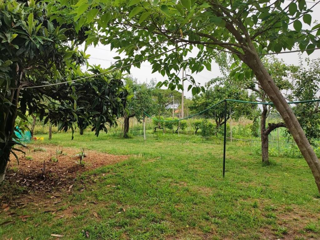 Terreno agricolo via degli acquedotti, porta a terra - padula, livorno