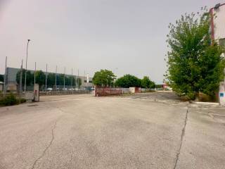 INGRESSO