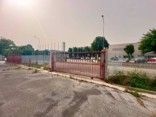 INGRESSO