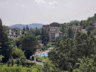 Vista