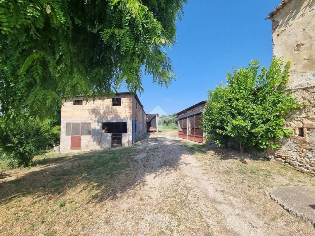 Rustico contrada mulano 1, castellalto