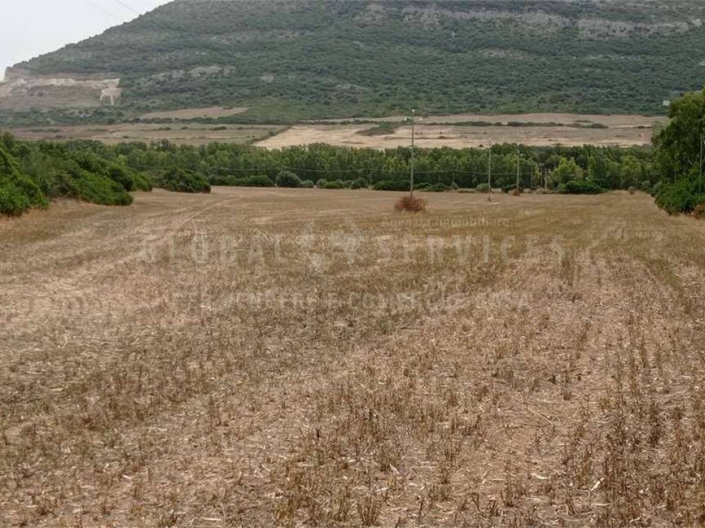 Terreno agricolo guardia grande, maria pia, fertilia, alghero