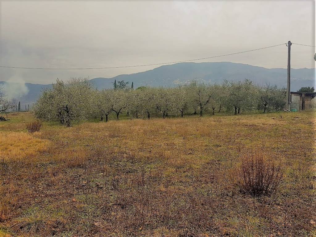 Terreno agricolo via per corte sandori 134a, sant'anna, lucca