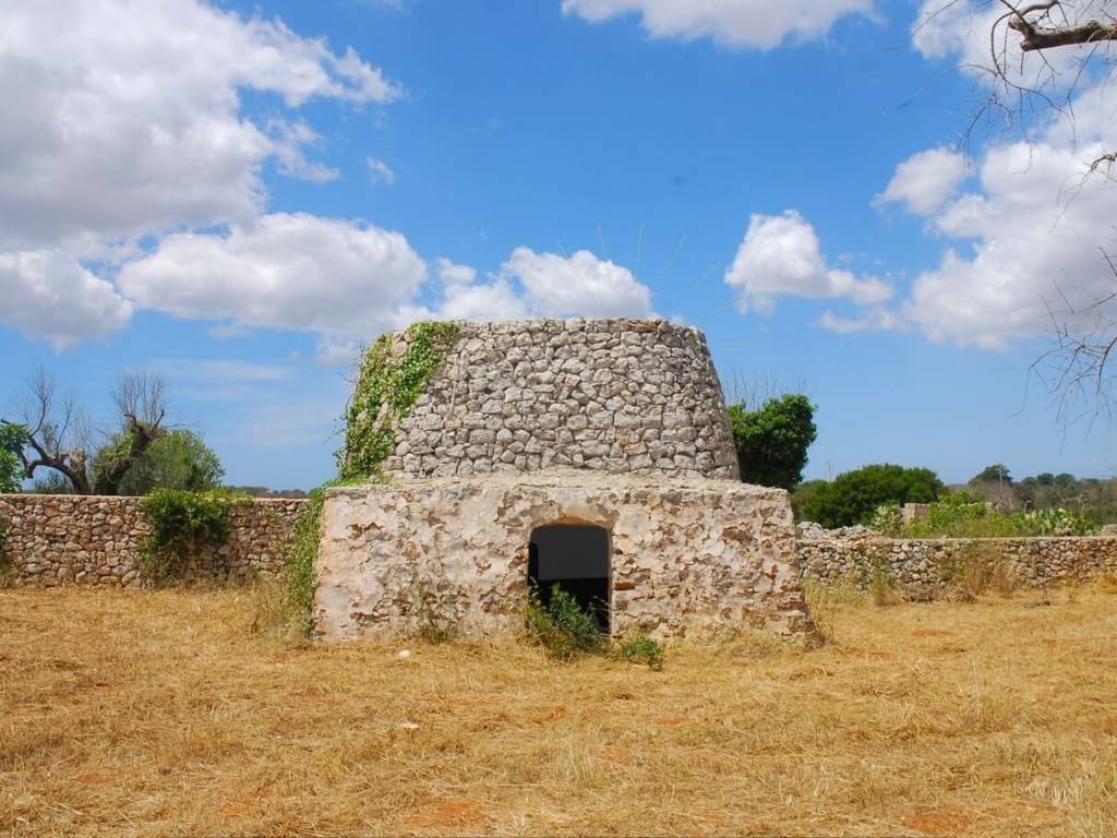 Terreno non edificabile strada comunale calcara di scolo grotte, specchia