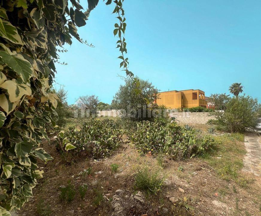terreno