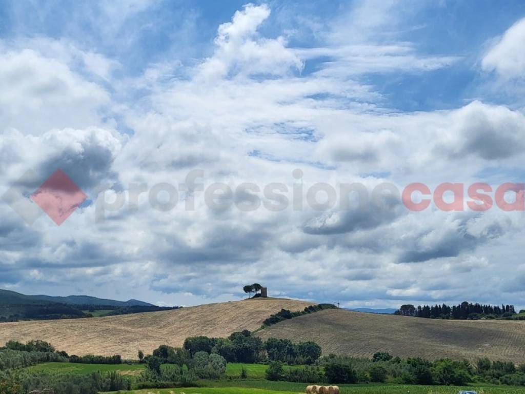 Terreno agricolo via vicinale della steccaia, bibbona
