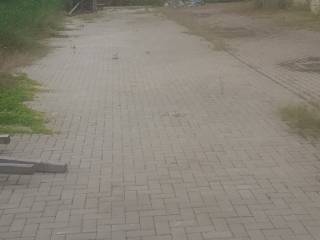Zona