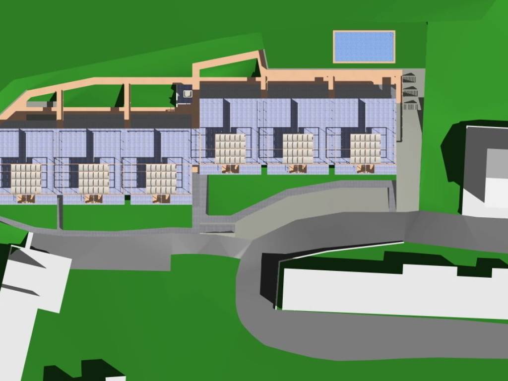 FOSSACESIA NEW 06.jpg