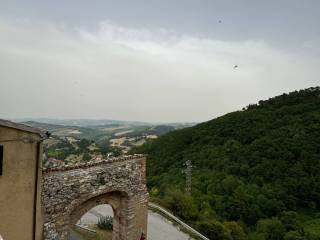 Vista
