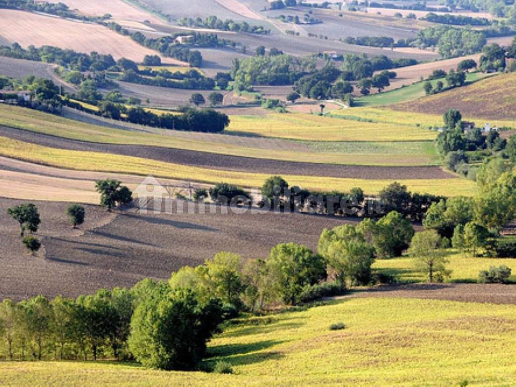 polverigi agugliano ville