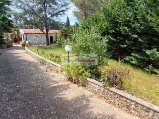 Ingresso