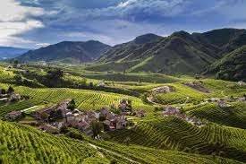 Terreno agricolo, centro, vittorio veneto