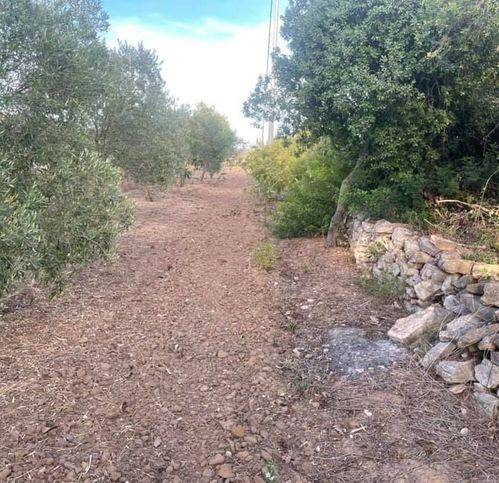 Terreno agricolo la corte, palmadula - argentiera, sassari