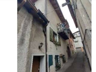 Zona
