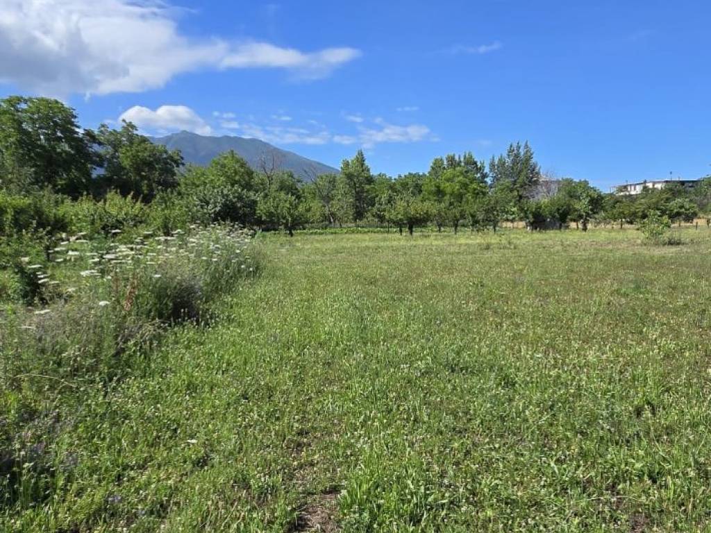 Terreno agricolo via cerciello, somma vesuviana