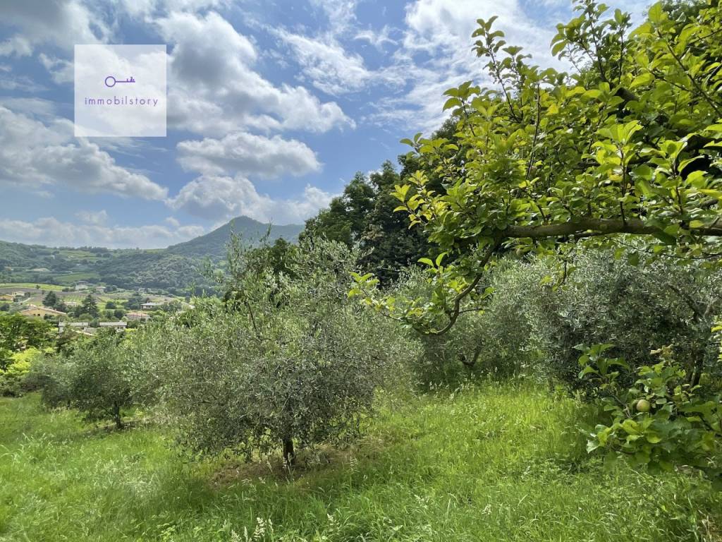 Terreno agricolo via regazzoni bassa, galzignano terme