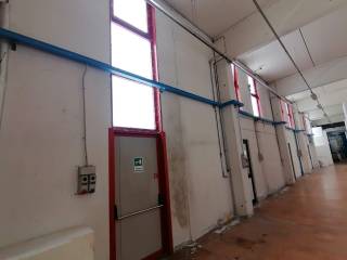 whatsapp image 2024 06 25 at 11 44 26 1