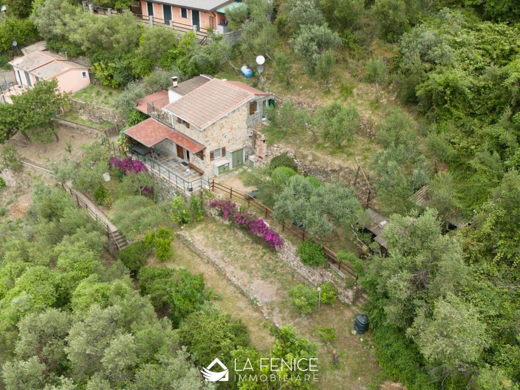 DRONE 1