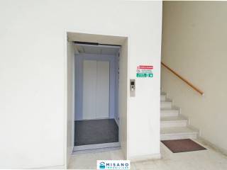 Ingresso